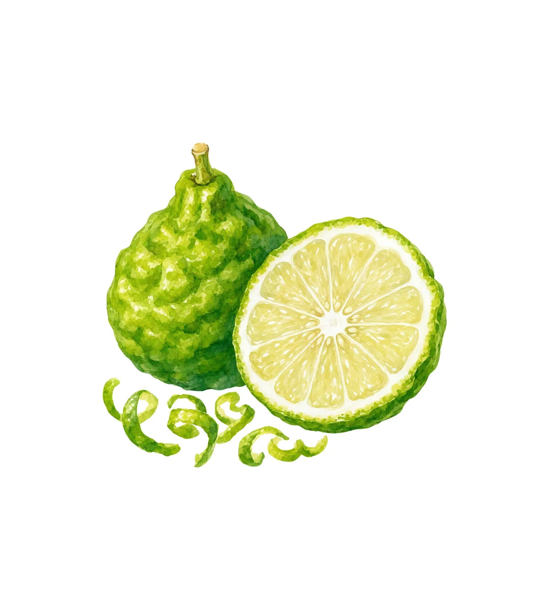 Bergamot Essential Oil