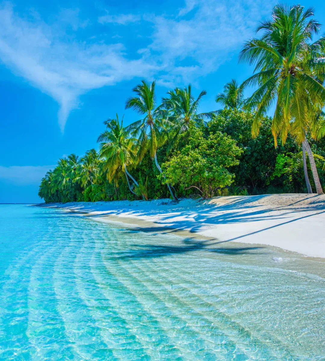 Ocean Breeze Fragrance Oil