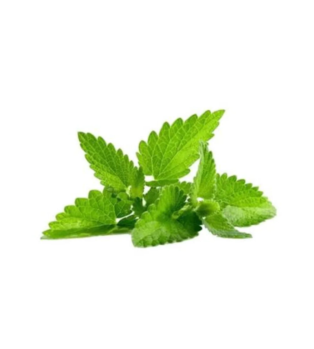 Patchouli Fragrance Oil